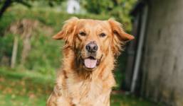 Nicolas FRUCHART - NICOLAS FRUCH'ART PHOTOGRAPHY