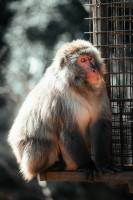 Adrien MOTTE - Adrien MOTTE